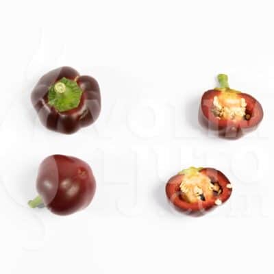 Chocolate Cherry Bomb - Sjemenke chili papričica 9 Chocolate cherry bomb - ILikeItHot.eu