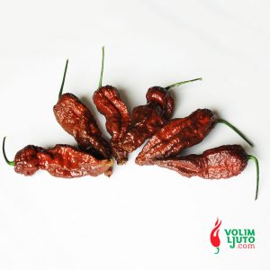 Bhut Jolokia Chocolate - svježe chili papričice 11