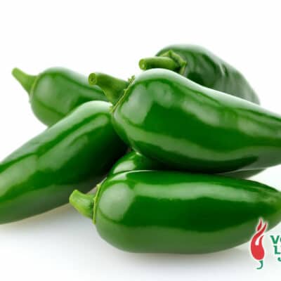 Jalapeno - svježe chili papričice 10