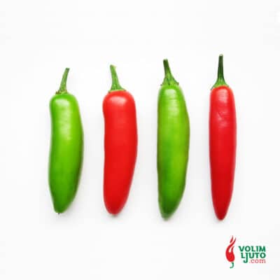 Serrano - svježe chili papričice 11
