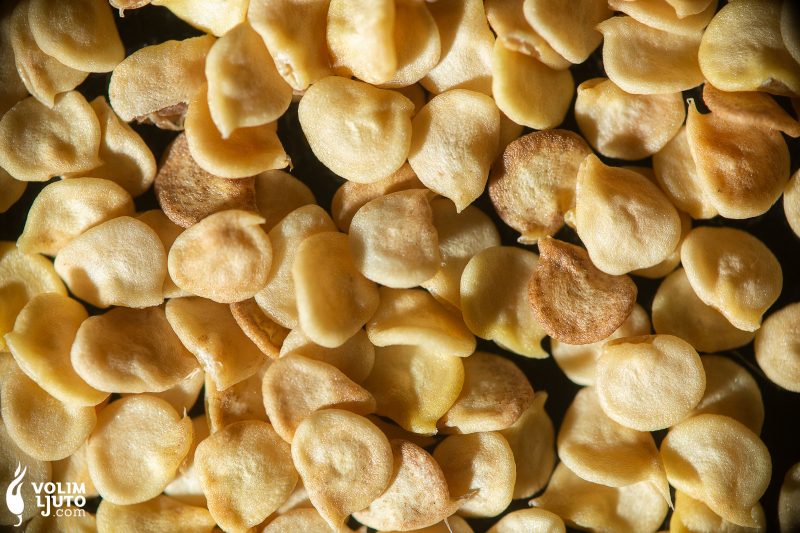 sjeme ljutih papričica - VolimLjuto.com