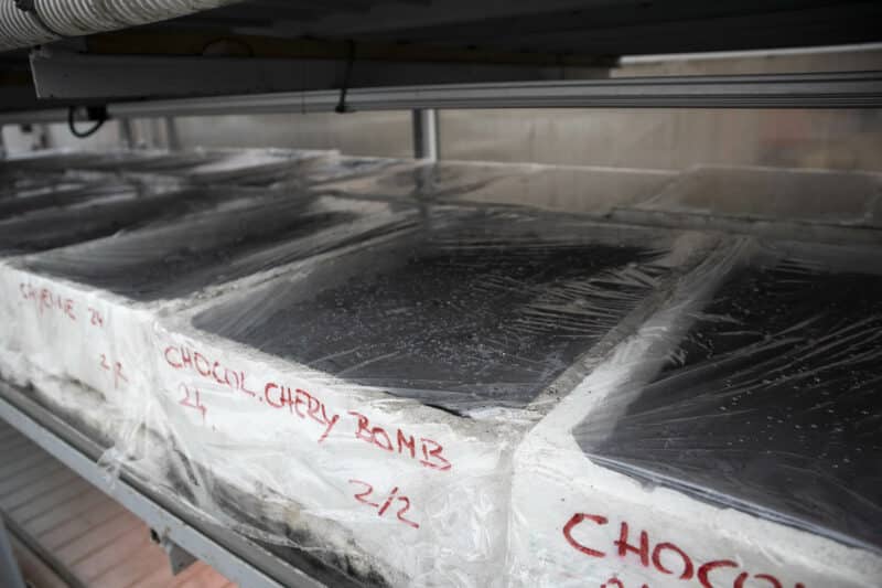 Vodič za uzgoj ljutih papričica iz sjemena 11 Vodič za uzgoj ljutih papričica iz sjemena 3