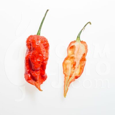 Bhut Jolokia Red - svježe chili papričice 9 Bhut Jolokia Red - VolimLjuto.com