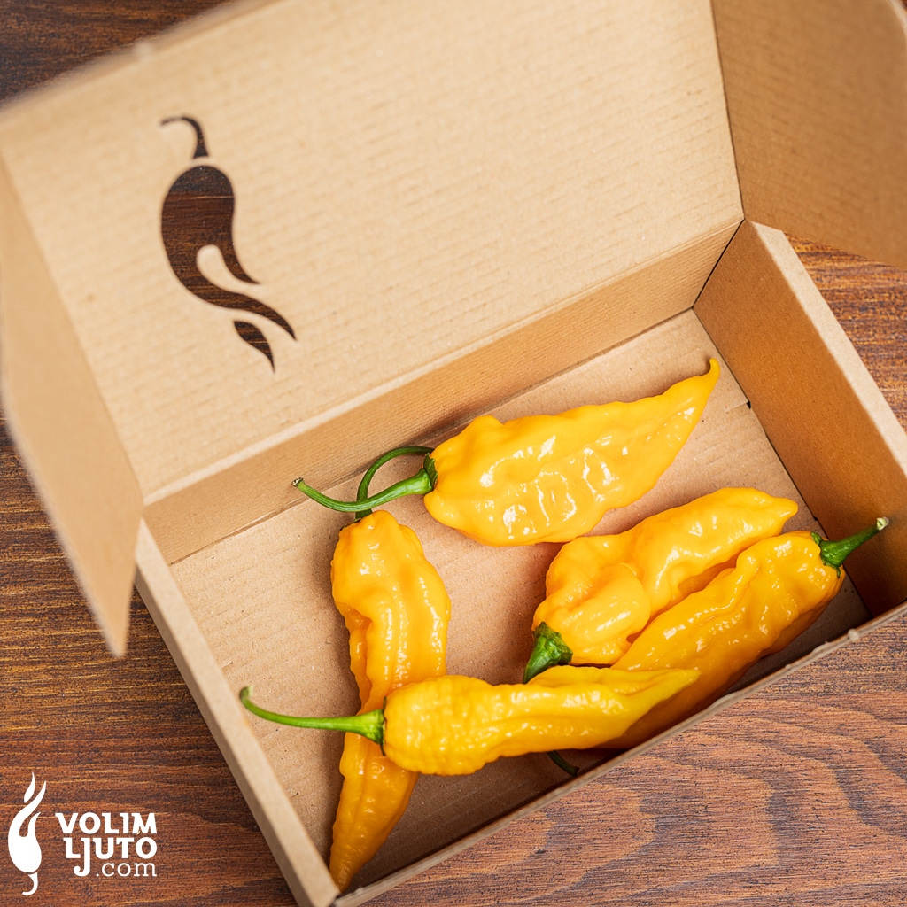 Fatalii paket - VolimLjuto.com