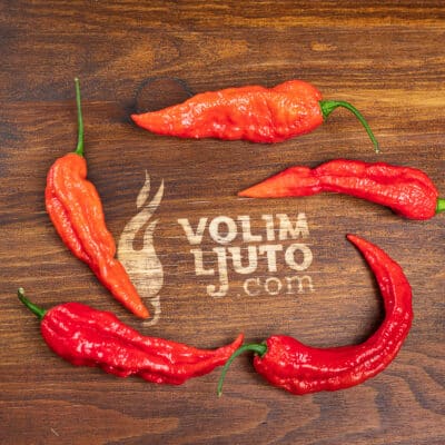 Bhut Jolokia Red - svježe chili papričice 8