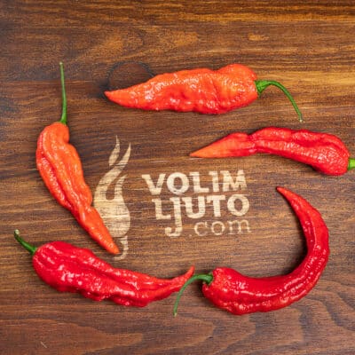 Bhut Jolokia Red - svježe chili papričice 7 Bhut Jolokia Red - svježe chili papričice 3