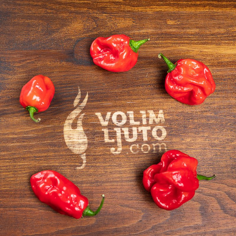 Ultimativni vodič za uzgoj chili papričica 6