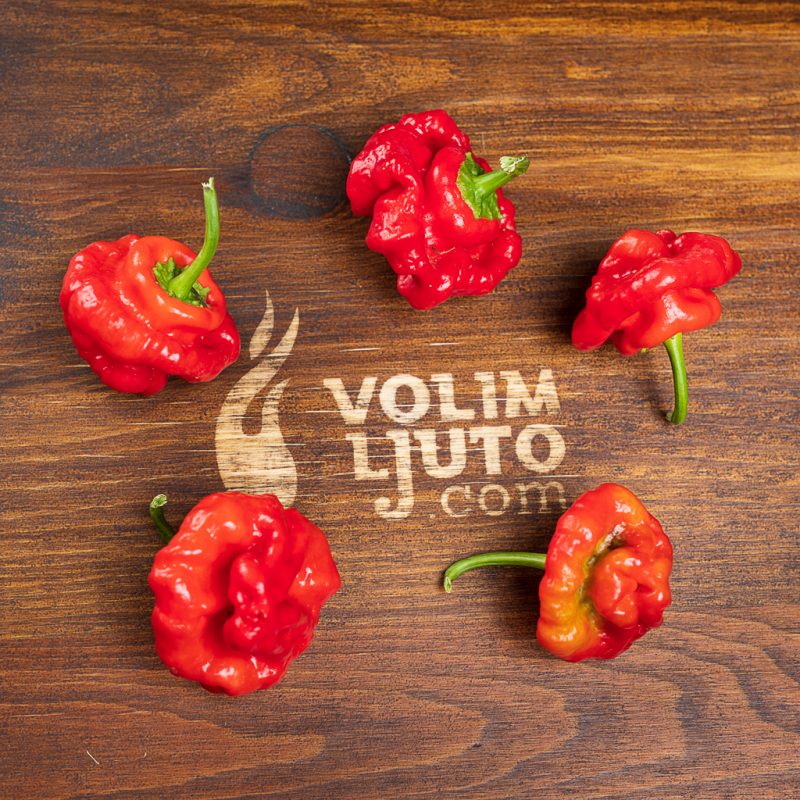 Ultimativni vodič za uzgoj chili papričica 5