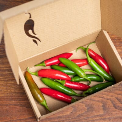 Serrano - Sjemenke chili papričica 4