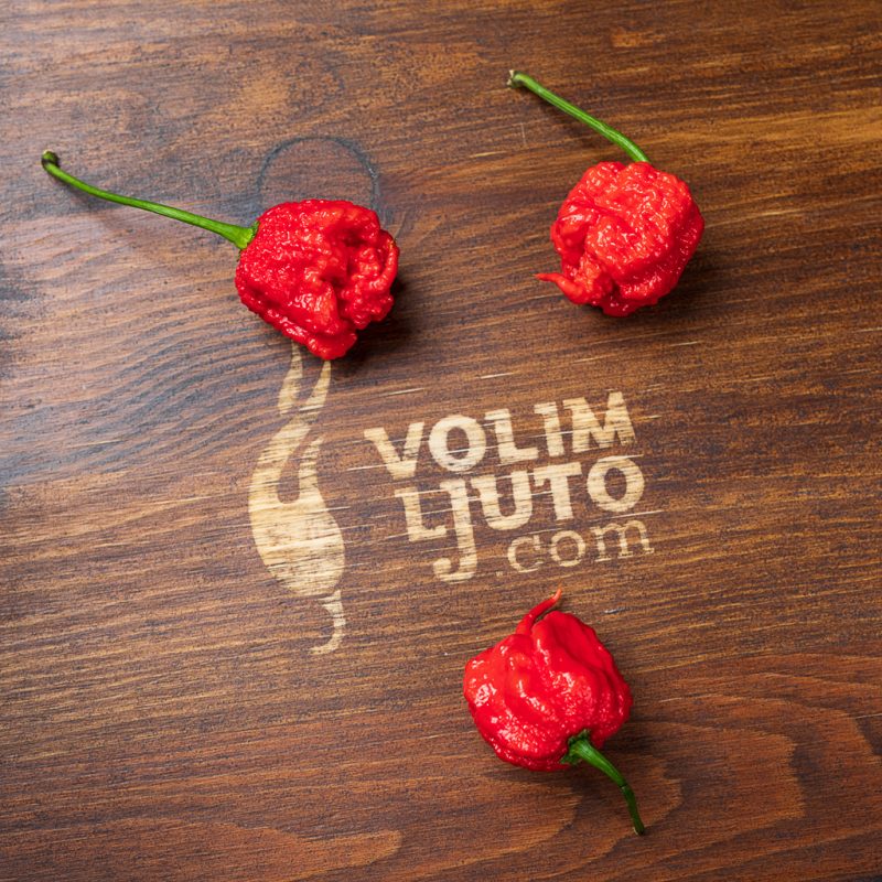 Ultimativni vodič za uzgoj chili papričica 7