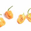 Habanero Numex Suave - Sjemenke chili papričica 1