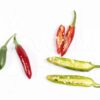 Serrano - Sjemenke chili papričica 1