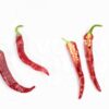 Cayenne - Sjemenke chili papričica 2