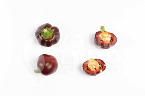 Chocolate Cherry Bomb - Sjemenke chili papričica 2