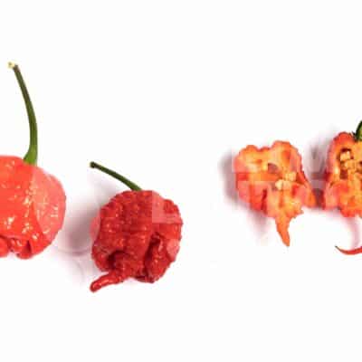 10 stvari koje možda niste znali o chili papričicama 15