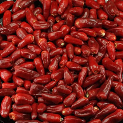 Thai Hot sadnica chili papričice 9