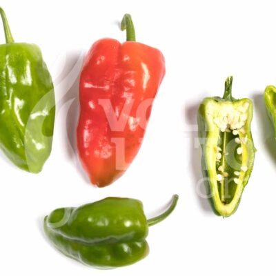10 razloga zašto uzgajati chili papričice u plasteniku 3