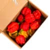 Trinidad Scorpion Moruga + Yellow - svježe chili papričice 1 Trinidad Scorpion Moruga + Yellow - svježe chili papričice 1