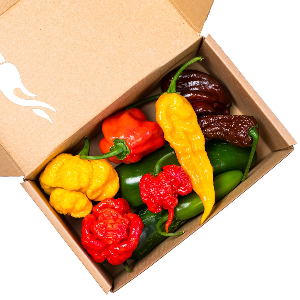 Chili Pepper Discovery Pack - paket ljutih papričica 3 Chili Pepper Discovery Pack - paket ljutih papričica