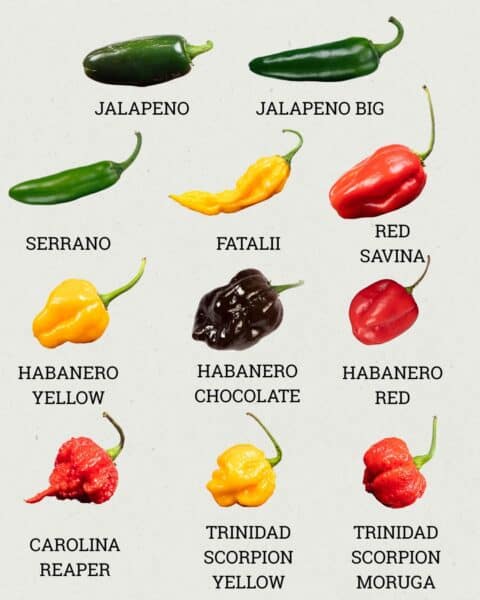 Ljuti mix - svježe chili papričice 250g 16 Ljuti mix - svježe chili papričice 250g 2