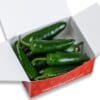 Jalapeno Big - svježe chili papričice 350g 1 Jalapeno Big - svježe chili papričice 350g