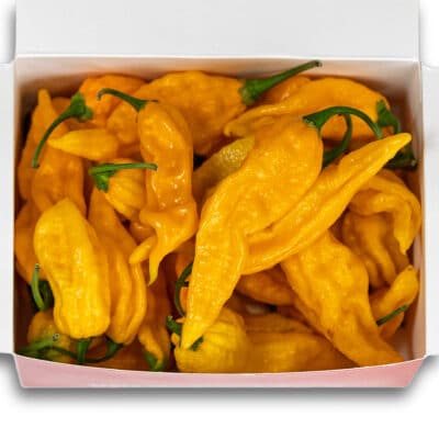 Fatalii - svježe chili papričice 200g