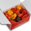 Habanero Mix (Chocolate + Red + Yellow) - svježe chili papričice 200g
