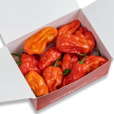 Habanero Red - svježe chili papričice 200g