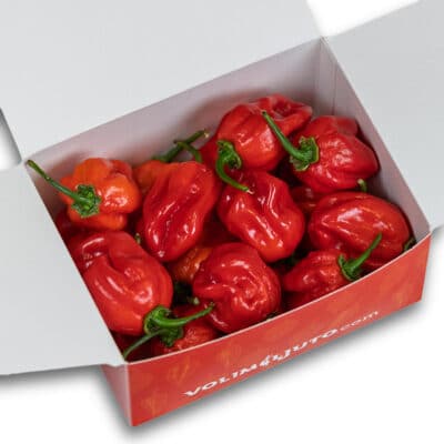 Red Savina Habanero - svježe chili papričice 200g
