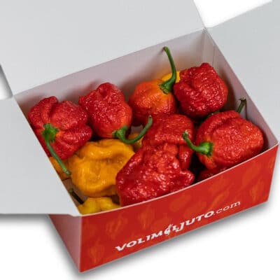 Trinidad Scorpion Mix (Moruga + Yellow) - svježe chili papričice 160g