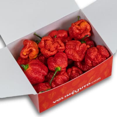 Trinidad Scorpion Moruga - svježe chili papričice 160g