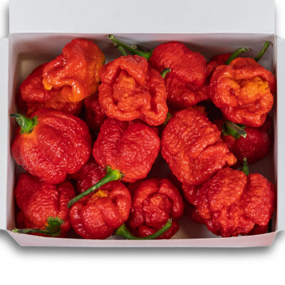 Trinidad Scorpion Moruga - svježe chili papričice 160g