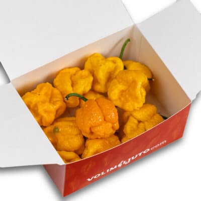 Trinidad Scorpion Yellow - svježe chili papričice 160g