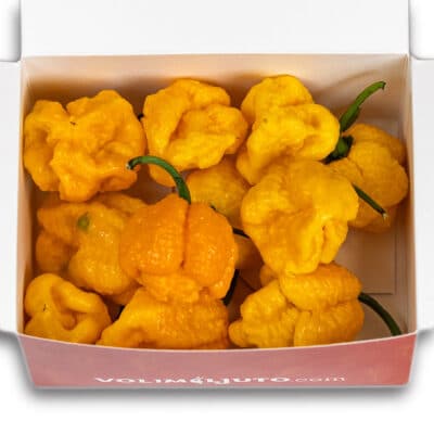 Trinidad Scorpion Yellow - svježe chili papričice 160g