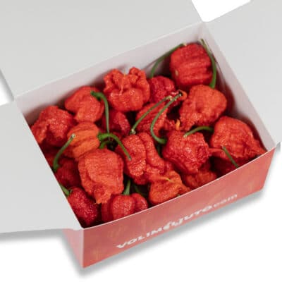 Carolina Reaper - svježe chili papričice 150g