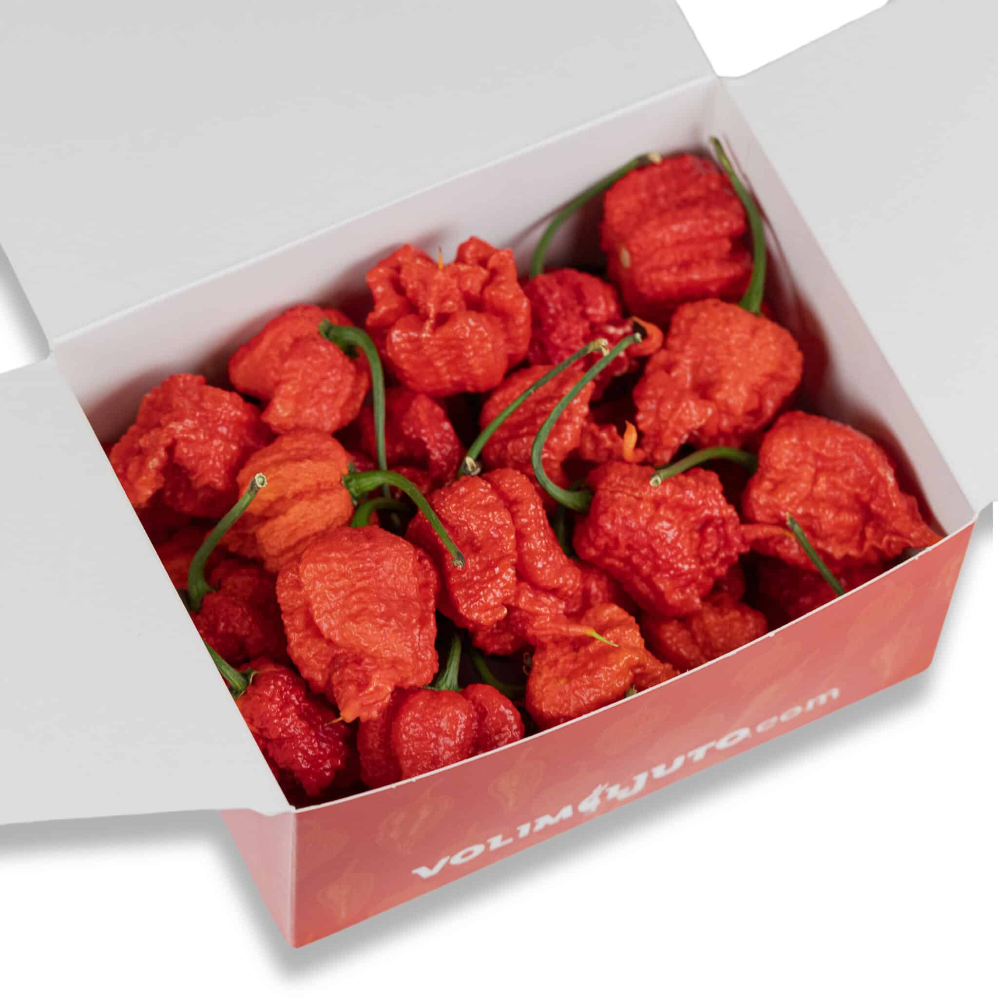Carolina Reaper - svježe chili papričice 150g 1 Carolina Reaper - svježe chili papričice 150g