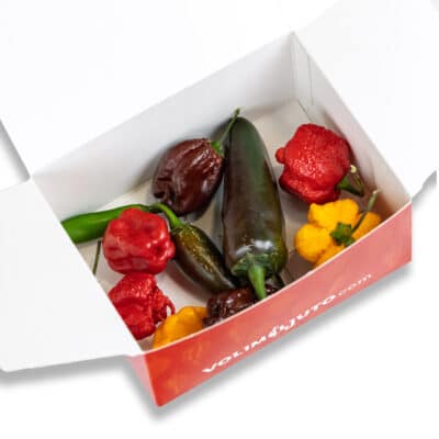 Chili Pepper Discovery Pack - paket ljutih papričica