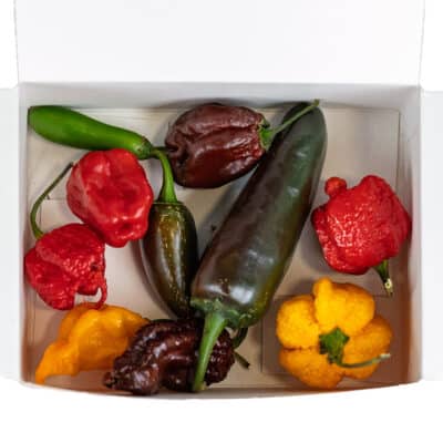 Chili Pepper Discovery Pack - paket ljutih papričica