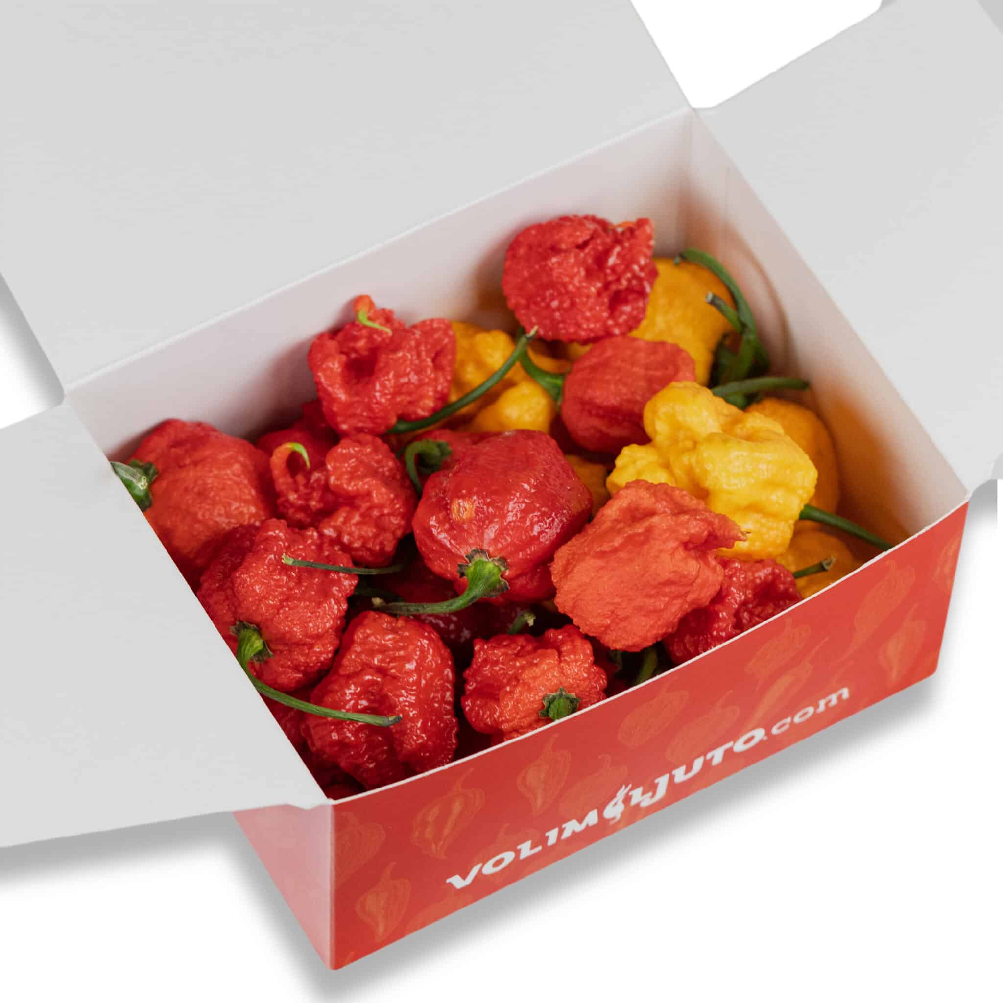 Ultra Ljuti Mix (Trinidad Scorpion Moruga + Trinidad Scorpion Yellow + Carolina Reaper) - svježe chili papričice 160g 2 Ultra Ljuti Mix (Trinidad Scorpion Moruga + Trinidad Scorpion Yellow + Carolina Reaper) - svježe chili papričice 160g