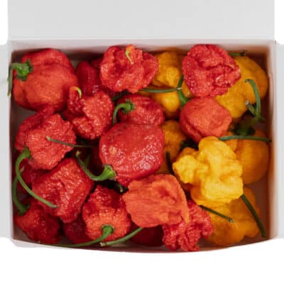 Ultra Ljuti Mix (Trinidad Scorpion Moruga + Trinidad Scorpion Yellow + Carolina Reaper) - svježe chili papričice 160g 6 Ultra Ljuti Mix (Trinidad Scorpion Moruga + Trinidad Scorpion Yellow + Carolina Reaper) - svježe chili papričice 160g